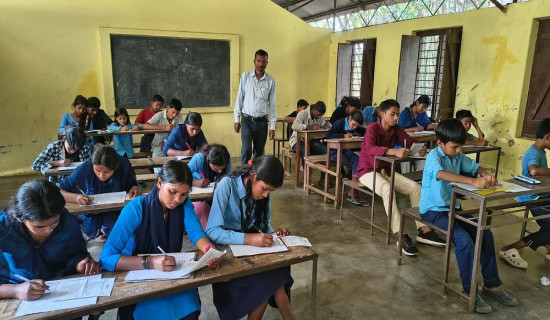 जङ्गलको बास, घरको आस