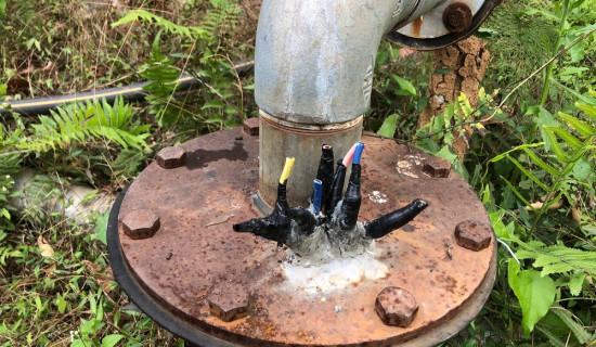 मेसिनले रोपियो चैते धान