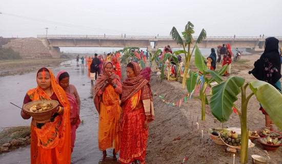 मेसिनले रोपियो चैते धान