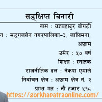 बिमा समितिको अध्यक्षमा पौडेल