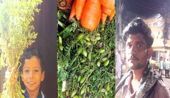 आचारसंहिता परिपालनामा कडाइ गर्दै आयोग