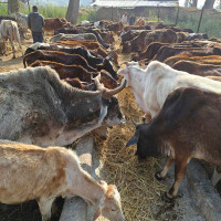 गैरसरकारी क्षेत्रको भूमिका : विषयगत प्रश्नोत्तर