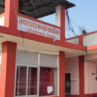 फार्ममा राखिएका चौँरी