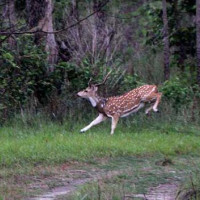 मुक्तिनाथद्वारा एक सय विद्यार्थीलाई झोला र कम्प्युटर प्रदान