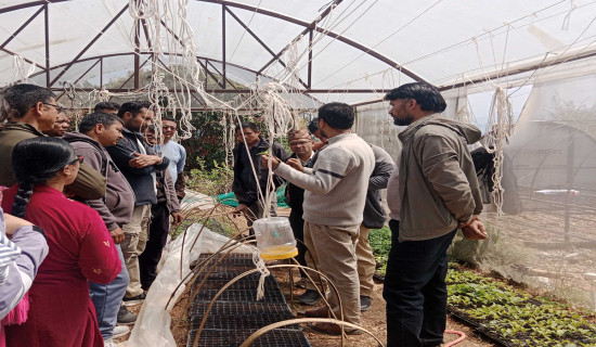 अमेरिकामा निजी जहाज अवतरणका क्रममा दुर्घटनाग्रस्त, आपतकालीन टोली सक्रिय