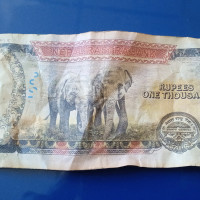 दोब्बर मतान्तरले गोरखाबाट माओवादी अध्यक्ष प्रचण्ड विजयी