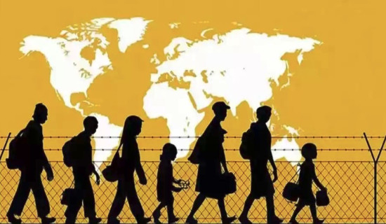 लाल सागरमा आप्रवासीको मृत्यु रेकर्ड स्तरमा