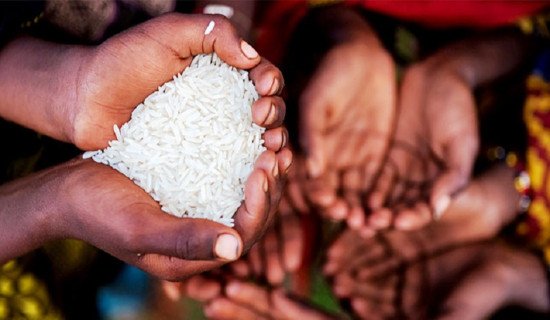 सेतो मच्छिन्द्रनाथ जात्राको तयारी