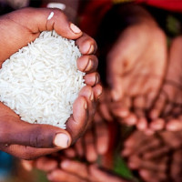 शिक्षक आन्दोलनले ग्रेडवृद्धि परीक्षा स्थगित