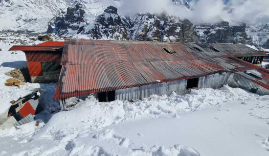 अन्नपूर्ण आधार शिविर : पिसफुल लजमा आगलागी