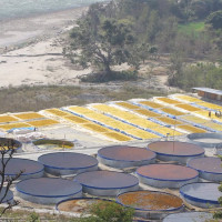 दर्ता नभएका क्लिनिक सिल