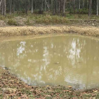 राष्ट्रपतिसमक्ष नवनियुक्त प्रधानमन्त्री ओलीद्वारा शपथग्रहण