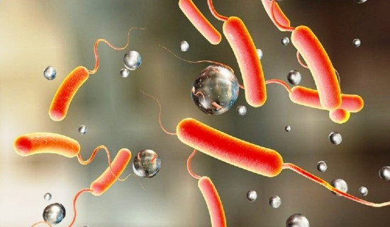 द्रुतमार्गसँगै खुल्ने छन् अवसर