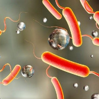 ठकुरी महिलामात्र प्रवेश पाउने अचम्मको मन्दिर