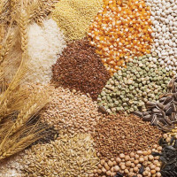 समावेशीकरणको दिशामा नयाँ फड्को : गोरखापत्रद्वारा प्रकाशित अछामि भाषा