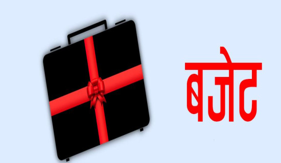 बागमतीमा बजेट निर्माण प्रक्रिया सुरु