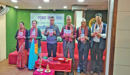 सबै स्थानीय तहमा ‘एफटिटिएच’