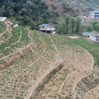 ‘मतदानको उत्साह लोकतन्त्रप्रतिको आस्था’