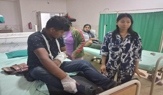 जिप दुर्घटनामा छ जना घाइते