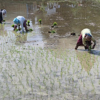 कैलालीमा दुई उम्मेदवारले लिए उम्मेदवारी फिर्ता