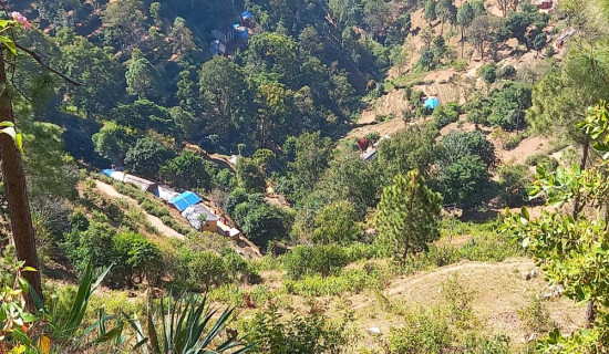 एसइई तयारीमा प्राथमिकता