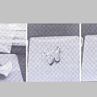 निःशुल्क आँखा उपचारले नागरिक लाभान्वित