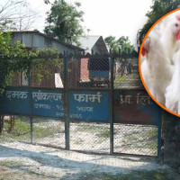 घोराहीमा लागुऔषध र सुनसहित पाँच जना पक्राउ