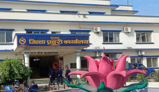 संरक्षणको अभावमा बढेनन् सालका बिरुवा