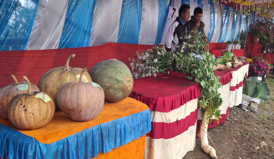 सूर्योदयमा कृषि मेला