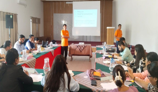 आत्मानन्द ‘सेइङ’ ६९ औ जन्मोत्सव मनाइँदै