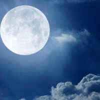 पहिलो त्रैमासिकमा पाकिस्तानको व्यापार घाटामा गिरावट