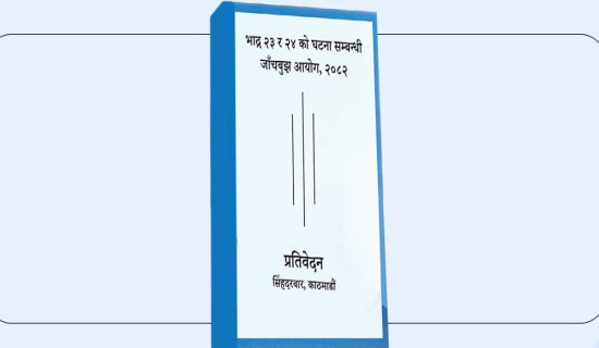 बसको ठक्करबाट पैदलयात्रीको मृत्यु