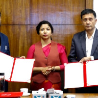 इंग्ल्याण्डलाई ६ विकेटले हराएको नेपालसँग अस्ट्रेलिया स्तब्ध