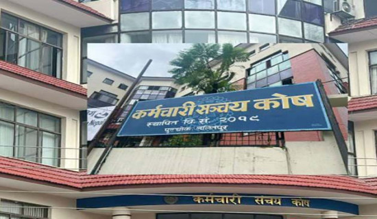 योगदानकर्तालाई सञ्चय कोषले राखिदियो मुनाफा