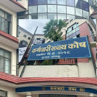 गिद्ध संरक्षणमा नेपाल उत्कृष्ट