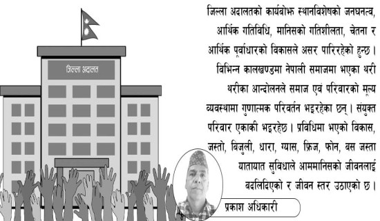 न्याय सम्पादनमा जिल्ला अदालत