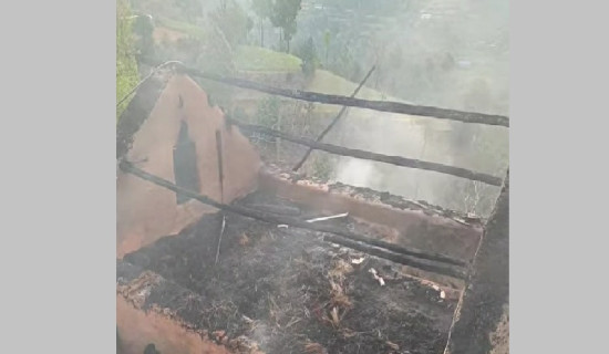 पूर्व राष्ट्रपतिको कमब्याकलाई  लिएर तरङ्गित राजनीति