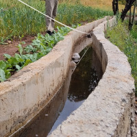 रुस र इरानबिच रणनीतिक साझेदारी सम्झौतामा हस्ताक्षर