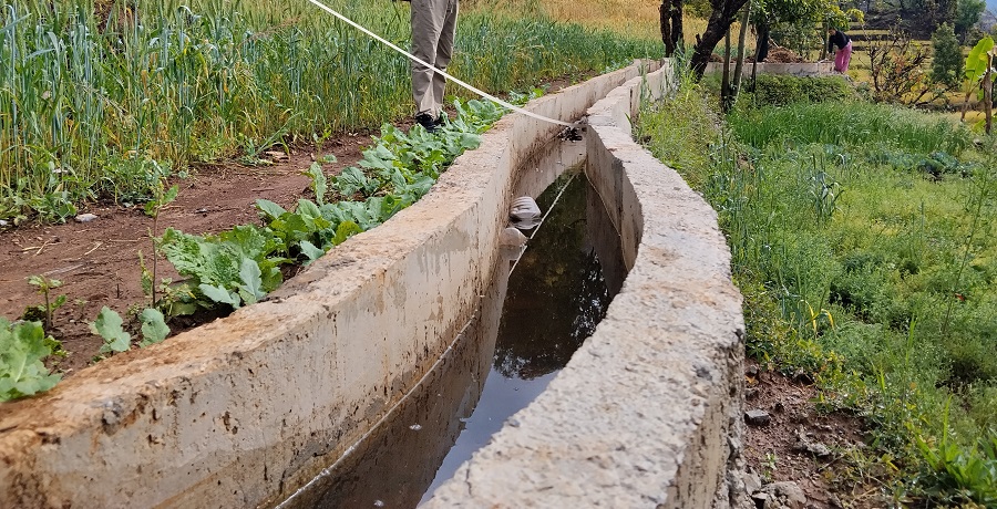 नौ हजार हेक्टर जमिन सिँचाइको पहुँचमा