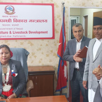 माटोबाट मूर्ति बनाउने परम्परागत पेसा सङ्कटमा