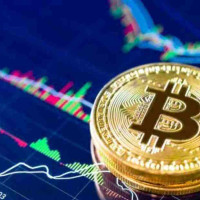 कृषिमन्त्री चौधरीद्वारा पदभार ग्रहण