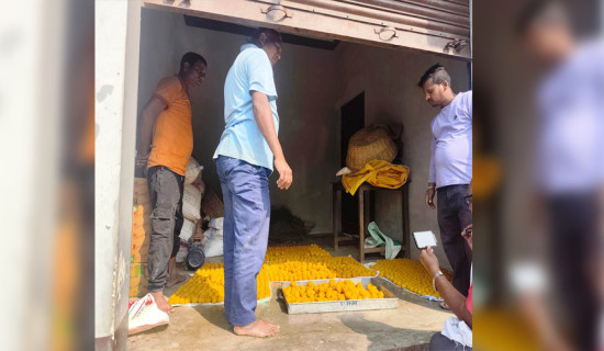 बालेन्द्र शाह प्रधानमन्त्री नियुक्त भएपछि गाउँमा खुशीयाली