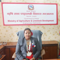 रोकिएन स्थानीय तहमा बेथिति