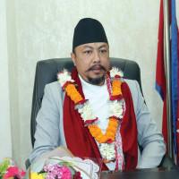 पिङको आनन्द