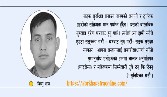 सडक सुरक्षा सतर्कता