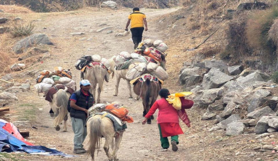 अनुदानको नुन लिन बाह्र घण्टा पैदल