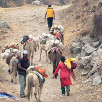 भुइँमै बसेर पढ्छन् बालबालिका