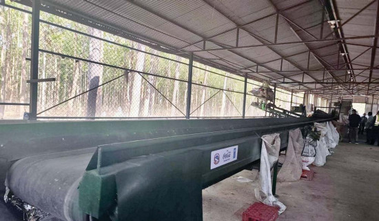 फोहोरबाट रोजगारी : बुटवलको सिर्जनशील अभ्यास