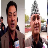 तनहुँमा लोपोन्मुख प्रजातिको अजिङ्गर फेला