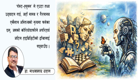 साताका सात तस्विर